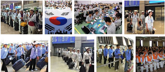 Hàn Quốc được xem là một trong những thị trường lao động tiềm năng với mức thu nhập cho nhân viên khá ổn định và có nhiều công việc, ngành nghề.