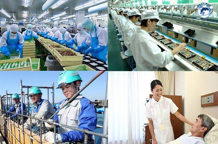 Tìm hiểu quy trình xuất khẩu lao động Đài Loan.